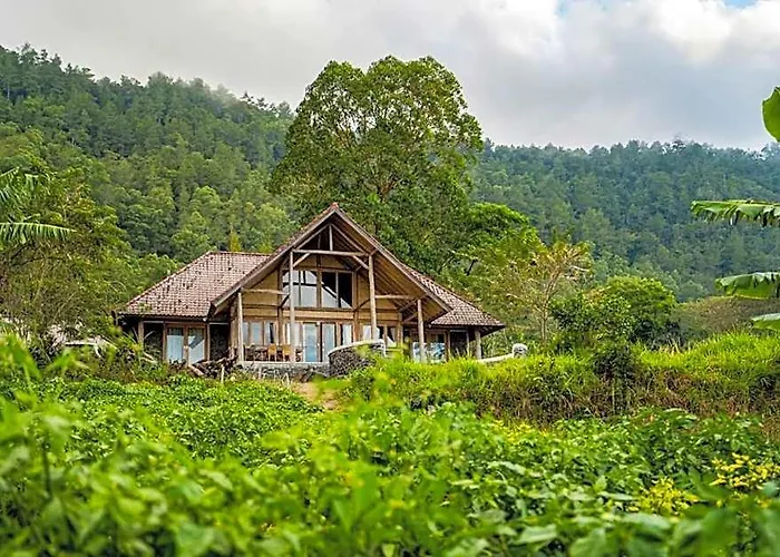 Manoka *