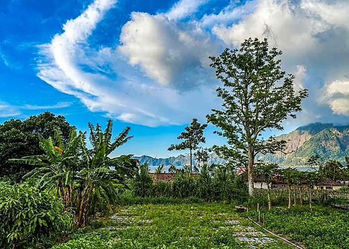 Manoka * Kedisan